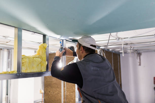 Best Insulation Maintenance and Repair in Muse, PA